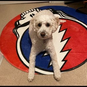 Meet your Posher, Adam